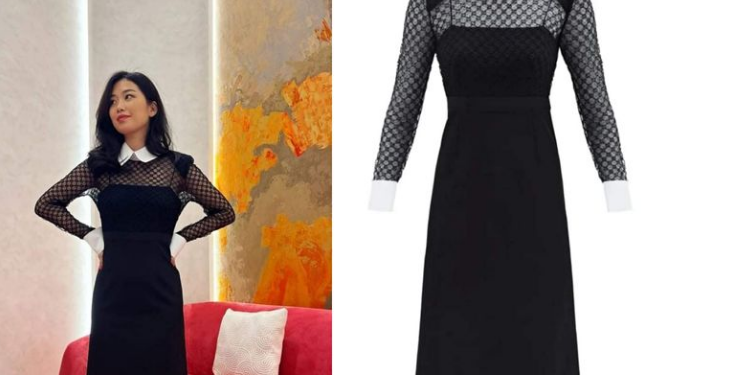 Шүүмжлэлд өртөөд буй Обунагийн өмссөн даашинзны үнэ олон нийтийг шоконд оруулав