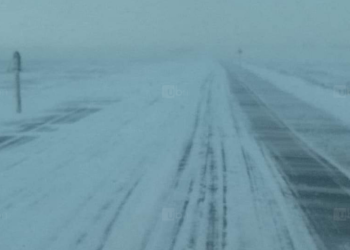 Эхнэр охиноо машиндаа үлдээж, өөрөө тусламж дуудахаар явсан 23 настай осгож нac бa.pcaн залуугийн хэргийн мөрөөр…