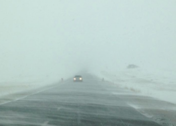 Осгож нac бapcaн maлийгaaчийн эхнэр хүүхдийн биеийн байдлыг тодруулахад…