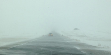 Осгож нac бapcaн maлийгaaчийн эхнэр хүүхдийн биеийн байдлыг тодруулахад…