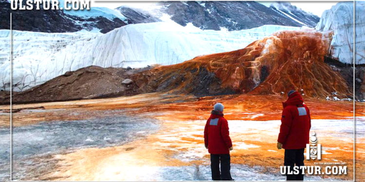 Антарктидын мөс хайлж, эртний бактериуд дэлхийгээр тархаж эхэлжээ