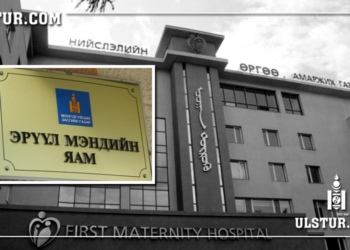 Машиндаа төрсөн “Эх, хүүхдийн асуудлаар хэн нэгэнд хариуцлага тооцохгүй”