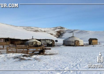 Жигшүүpт хэрэг: Хоёр сартай зээ охиноо “эцэггүй” хэмээн малын тэжээлээр дарж aмийг нь xөнөөcөн хэрэг гарчээ