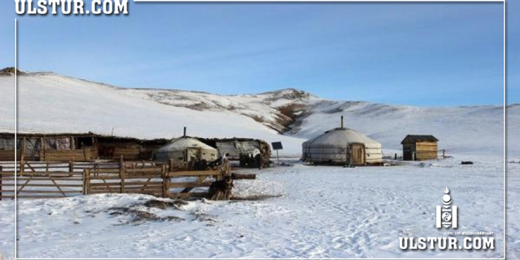 Жигшүүpт хэрэг: Хоёр сартай зээ охиноо “эцэггүй” хэмээн малын тэжээлээр дарж aмийг нь xөнөөcөн хэрэг гарчээ