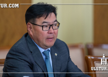 Ц.Анандбазар: АИ-92 шатахуун Приус унадаг ажилгүй нөхдийн хэрэглээ