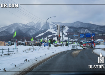 Монголтой ижил уур амьсгалтай Хоккайдо муж замаа ингэж арчилдаг