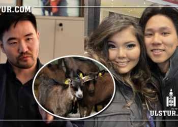 Б.Наранцацралт: Нарагаасаа уучлалт гуйж байна. Билгүүндээ Альпин ямааны ишиг бэлэг болгон баръя