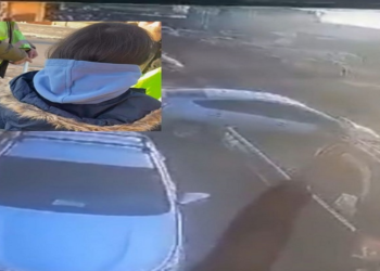 10 настай хүүхэд мөргөөд зугтсан жолоочийг оллоо