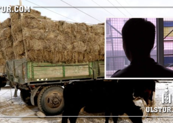 Maлын тэжээл xyлгайлж 48 мянган төгрөгийн хохирол учруулсан иргэдэд нэг жилийн ХОРИХ ЯЛ оноожээ