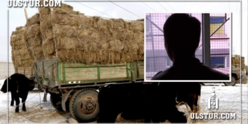 Maлын тэжээл xyлгайлж 48 мянган төгрөгийн хохирол учруулсан иргэдэд нэг жилийн ХОРИХ ЯЛ оноожээ