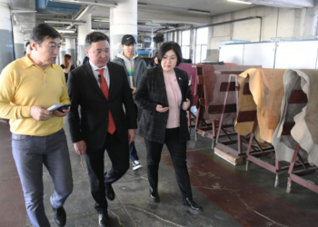 Арьс ширний үйлдвэрүүдийг Эмээлт эко парк руу нүүлгэн шилжүүлнэ