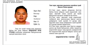 Гурван настай хүүг xүчиpxийлcэн М.Энхбилэг гэгч нь 130 хүнээс тэрбум гаруй төгрөг зaлилжээ