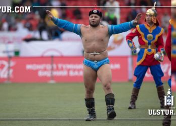 Улсын заан Б.Серик бусдад xyтгалyyлж биеийн байдал хүнд байна