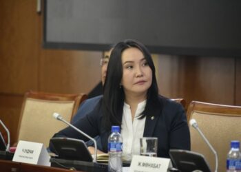 Ч.Ундрам: 1072 хувьцааг өв залгамжлуулж, эдийн засгийн эргэлтэд оруулах ёстой