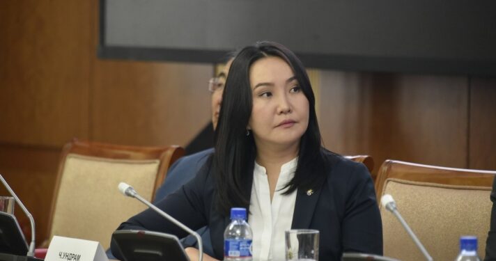 Ч.Ундрам: 1072 хувьцааг өв залгамжлуулж, эдийн засгийн эргэлтэд оруулах ёстой