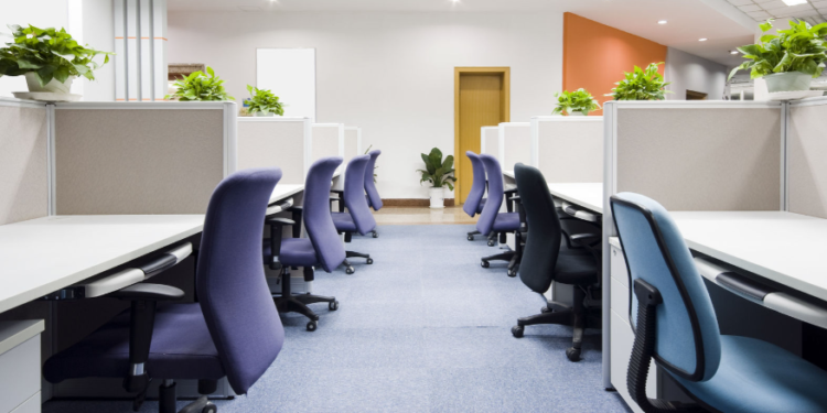 Өглөө 6 цагт ажил нь эхэлж өдөр 14 цагт тардаг үлгэр жишээ Монгол компанитай танилц