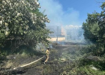 Модны хөвөнг соруулж эхэлжээ