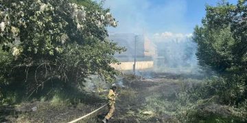 Модны хөвөнг соруулж эхэлжээ