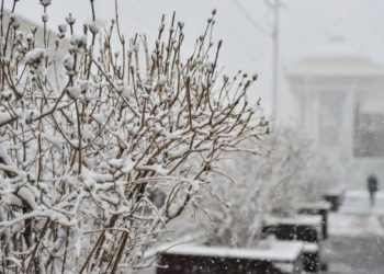 Уулаараа хасах хэмд хүрч, цас үргэлжлэн орох тул замд гарахгүй байхыг зөвлөж байна