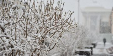 Уулаараа хасах хэмд хүрч, цас үргэлжлэн орох тул замд гарахгүй байхыг зөвлөж байна