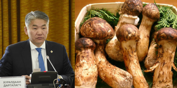 ХХААХҮ-ийн сайд Ж.Энхбаяр: Мөөгний хуулийн төсөл боловсруулах ажлыг эхлүүлнэ