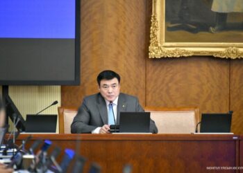 2017 онд баталсан хуульд стандартыг сонгон хэрэглэнэ гэснийг шүүмжлэв